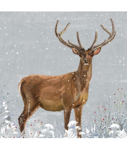 Stag - Large Christmas Card Pack
