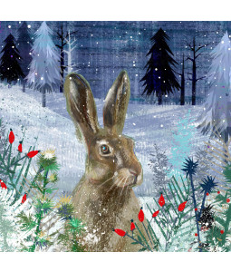 Winter Hare - Small Christmas Card Pack