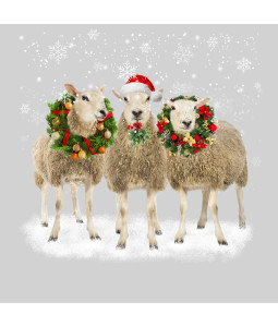 *Trio of Sheep - Small Christmas Card Pack