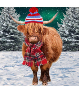 Winter Highland Cow - Small Christmas Card Pack