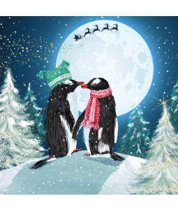 Moonlight Penguins - Large Christmas Card Pack