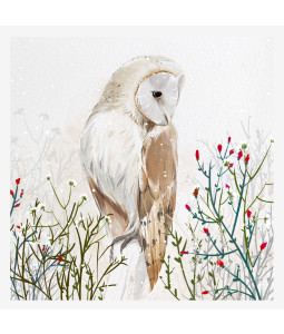 Barn Owl - Small Christmas Card Pack