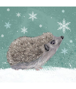 Snowflake Hedgehog - Large Christmas Card Pack