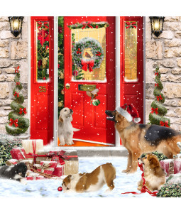 *A Bark At The Door - Small Christmas Card Pack