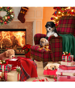Cosy Pups By The Fire - Large Christmas Card Pack