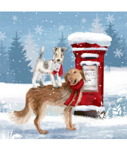 *We've Got Mail - Small Christmas Card Pack