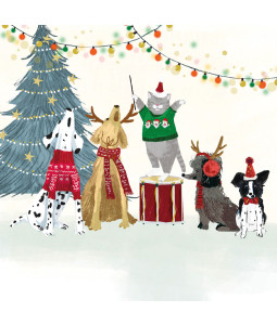 Doggy Choir - Small Christmas Card Pack