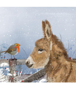 Donkey and Robin - Small Christmas Card Pack