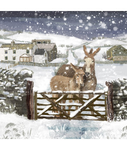 Donkeys On The Farm - Small Christmas Card Pack
