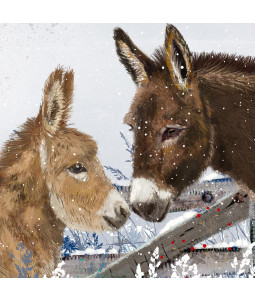 Donkey Kiss - Small Christmas Card Pack