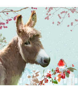 Cute Donkey - Large Christmas Card Pack