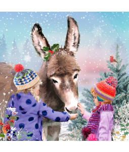 Feeding The Donkey - Small Christmas Card Pack