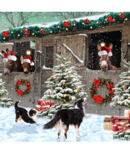 Donkey Stables - Small Christmas Card Pack