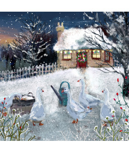 *Geese At The Cottage - Small Christmas Card Pack