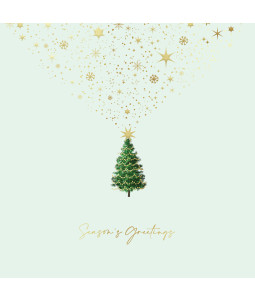 Starry Tree - Large Metallic Christmas Card Pack