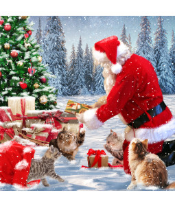 *Presents From Santa - Small Christmas Card Pack