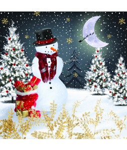 Midnight Snowman - Large Christmas Card Pack 
