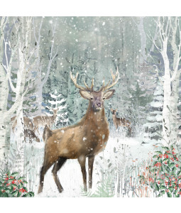 Woodland stag 