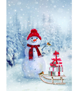 Snowman and Presents - Christmas Card Pack 