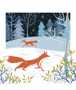 winter foxes
