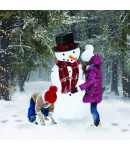 Build a Snowman - Small Christmas Card Pack