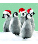 Waddle - Small Christmas Card Pack 