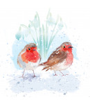 Robins - Small Christmas Card Pack