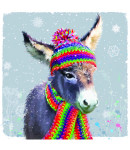 Rainbow Donkey - Small Christmas Card Pack 