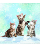 Kittens first snow-