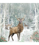 Woodland stag 